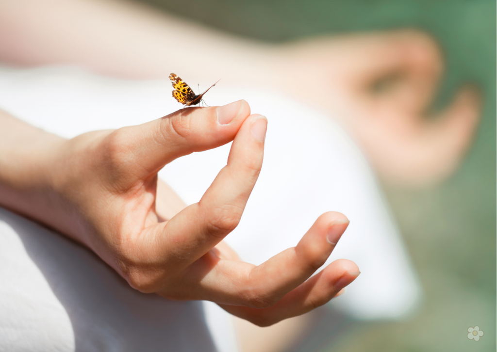 Meditieren lernen – dein Kompass für mehr Gelassenheit im Alltag 1 Meditation Achtsamkeit im Alltag 2 1