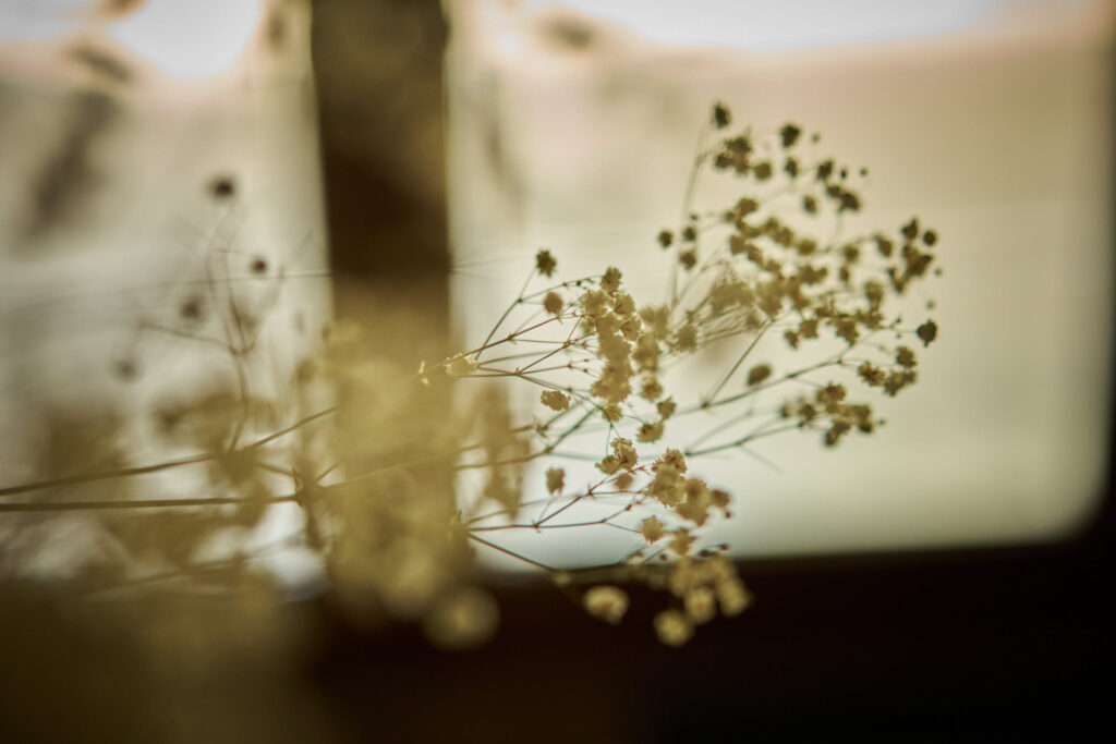 ZEIIN Akademie Hannover