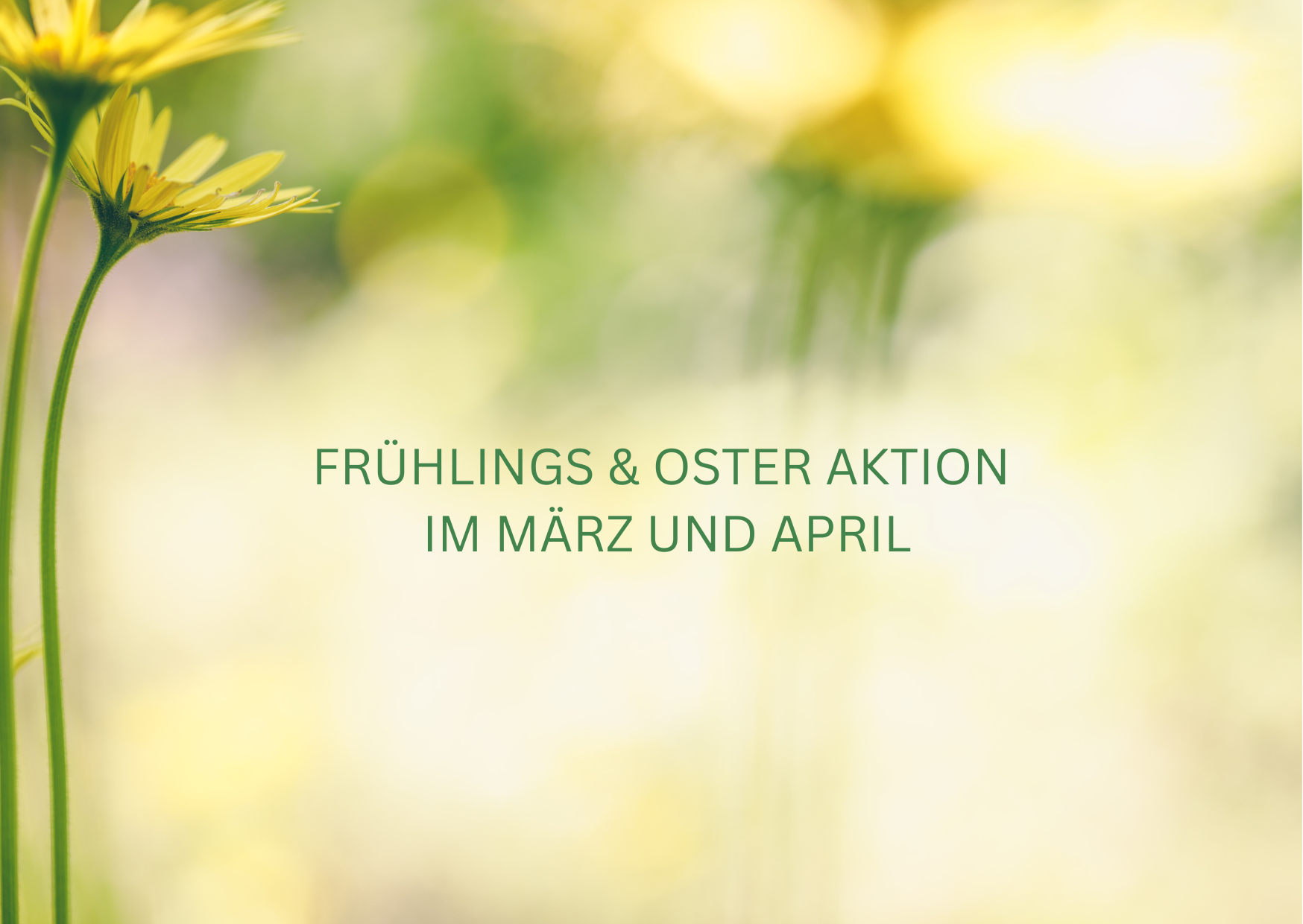 Mehr über den Artikel erfahren Frühlings- und Osteraktion im ZEIIN Yoga – Zeit für deinen Neubeginn